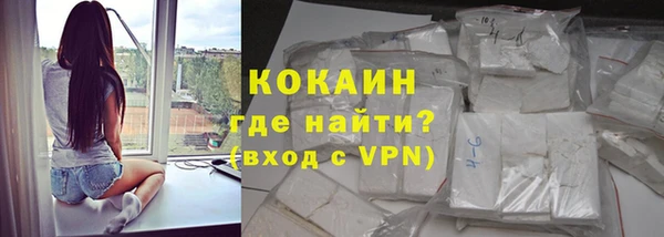 стафф Алексин