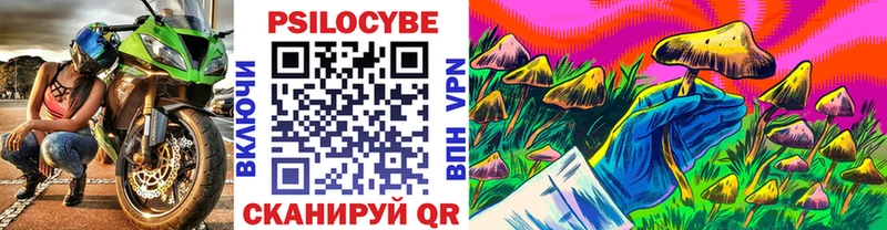 сайты даркнета как зайти  Фатеж  Псилоцибиновые грибы мицелий 